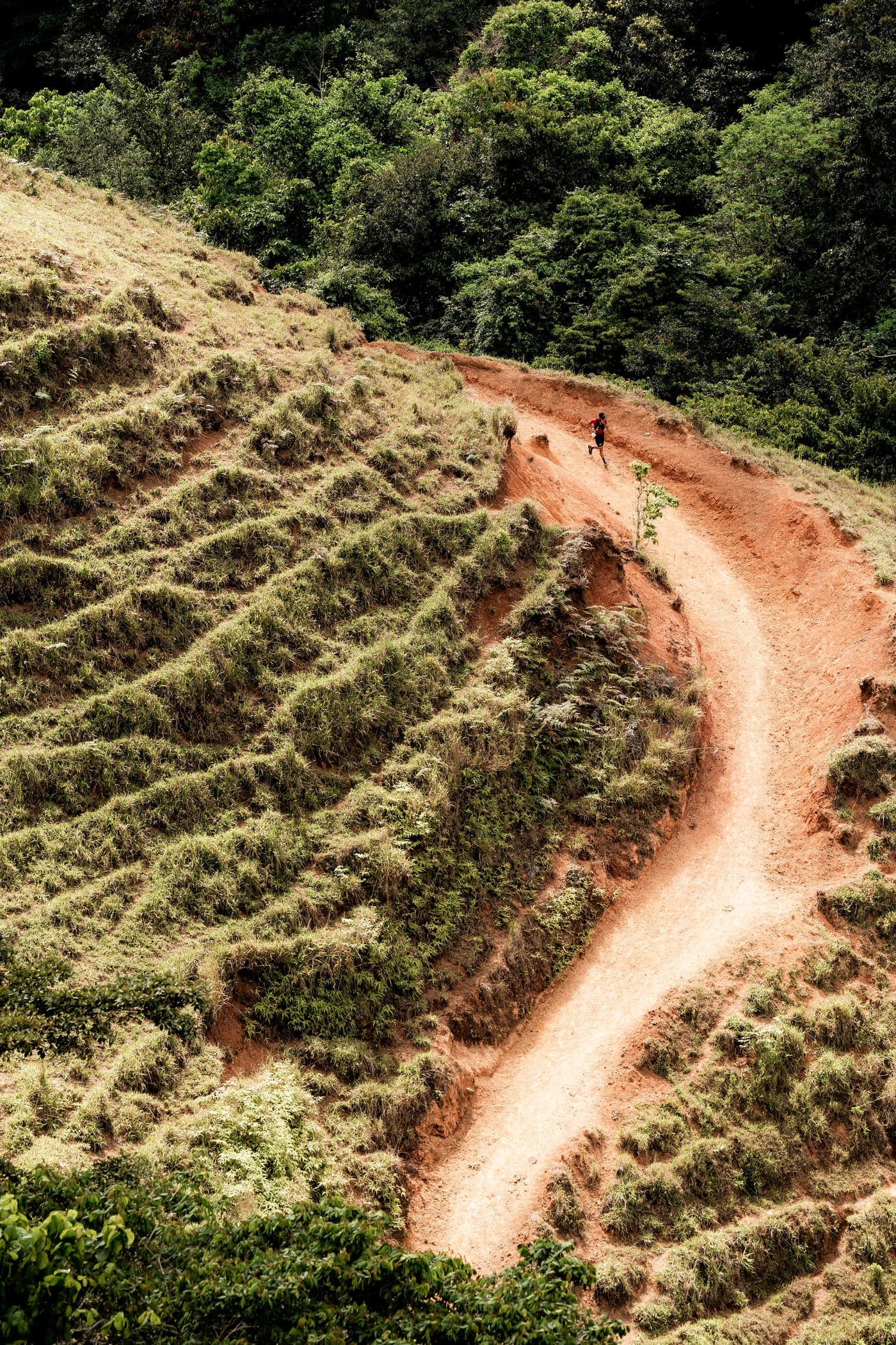 Etapa 2 — Bienvenido a la Jungla
